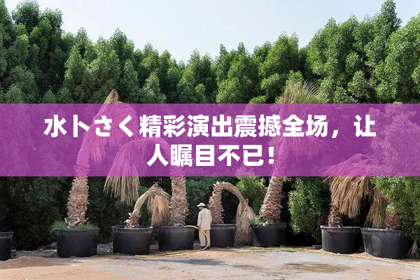 水卜さく精彩演出震撼全场，让人瞩目不已！