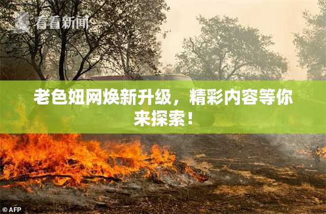 老色妞网焕新升级，精彩内容等你来探索！