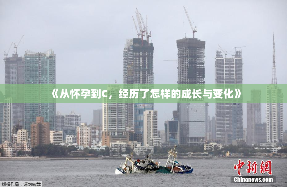 《从怀孕到C，经历了怎样的成长与变化》