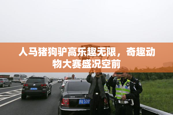 人马猪狗驴高乐趣无限，奇趣动物大赛盛况空前