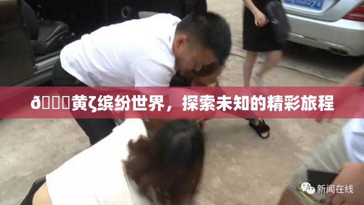 🔞黄ζ缤纷世界，探索未知的精彩旅程