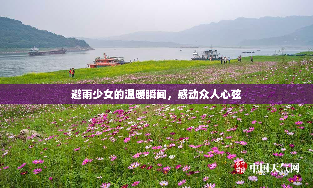 避雨少女的温暖瞬间，感动众人心弦