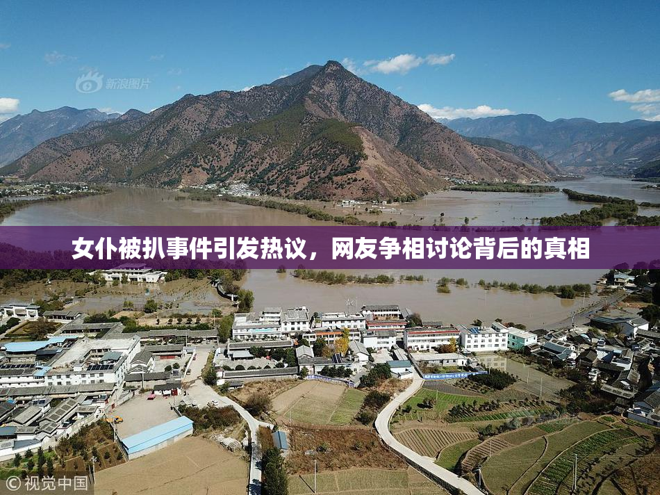 女仆被扒事件引发热议，网友争相讨论背后的真相