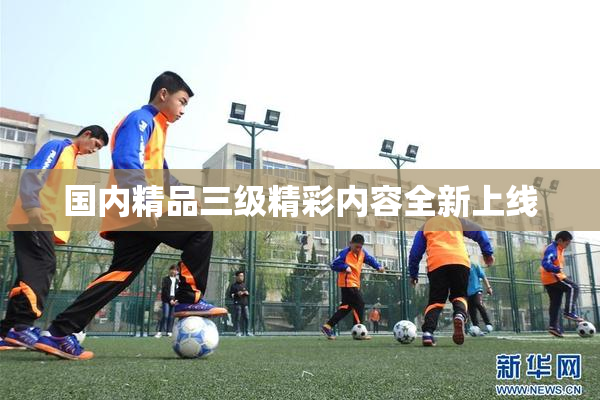 国内精品三级精彩内容全新上线