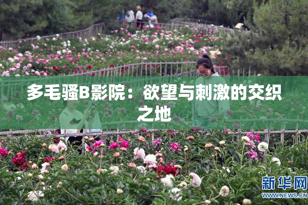 多毛骚B影院：欲望与刺激的交织之地