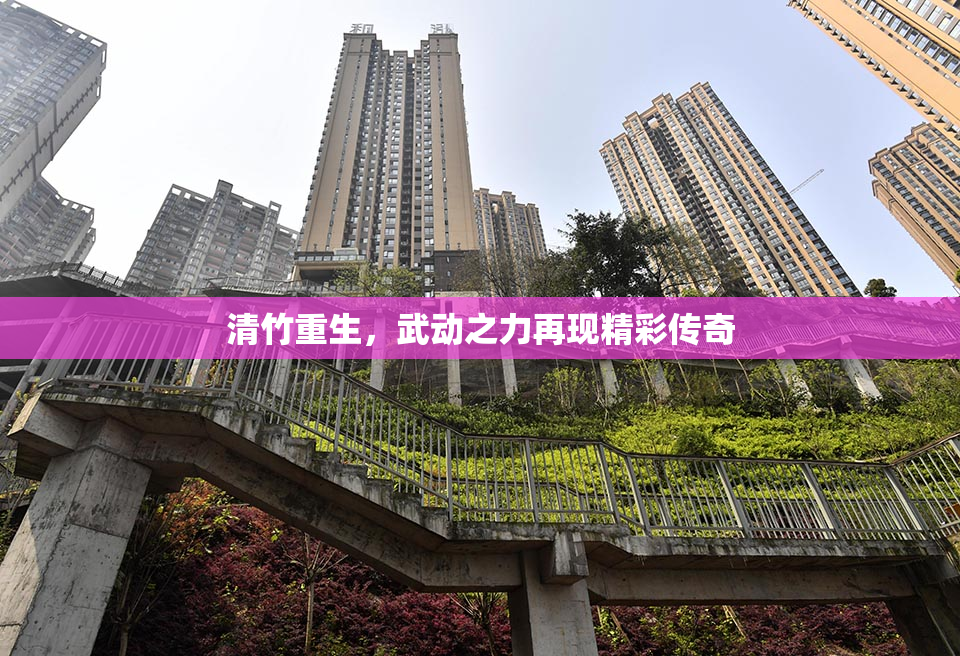 清竹重生，武动之力再现精彩传奇