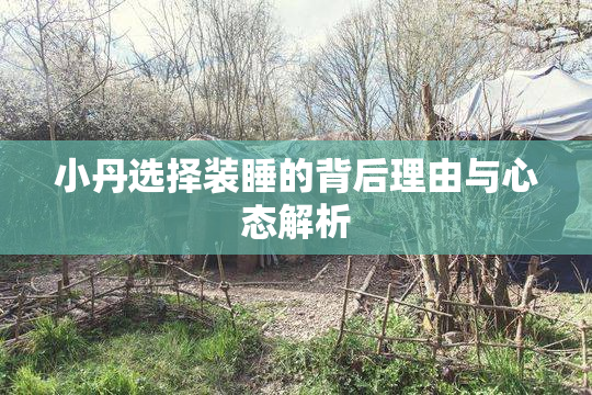 小丹选择装睡的背后理由与心态解析