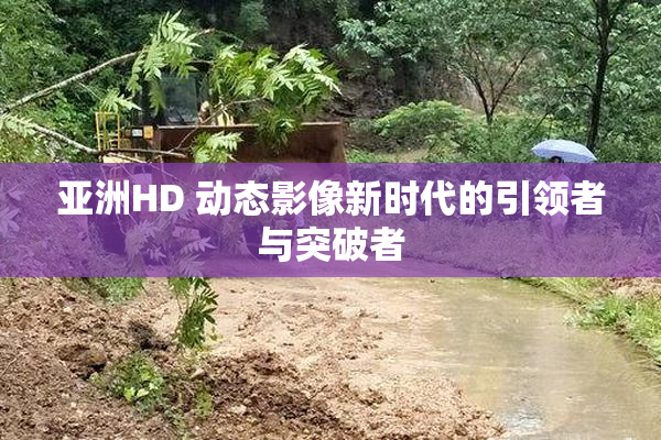 亚洲HD 动态影像新时代的引领者与突破者