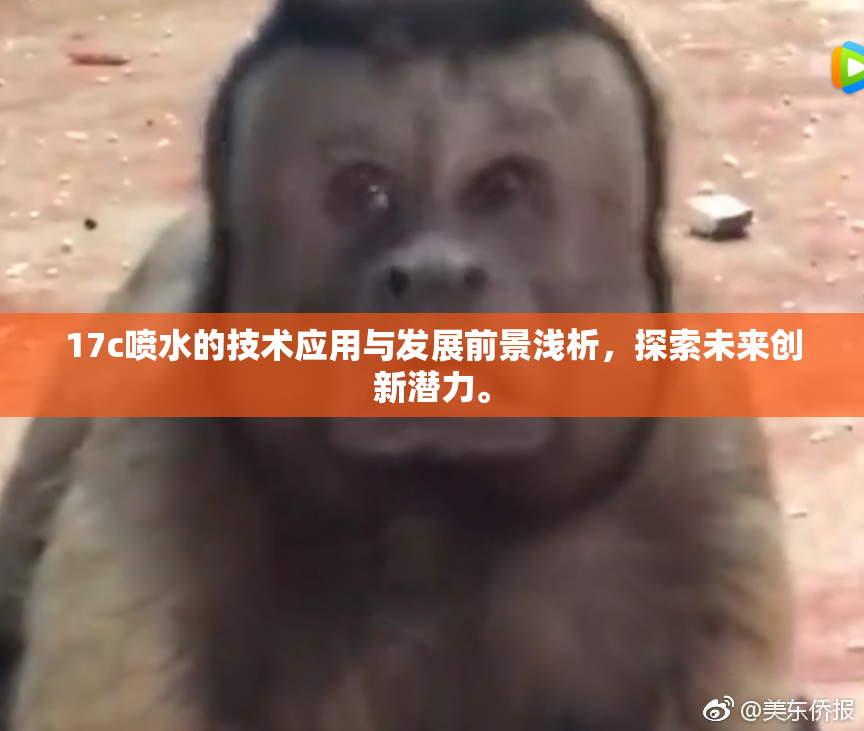 17c喷水的技术应用与发展前景浅析，探索未来创新潜力。