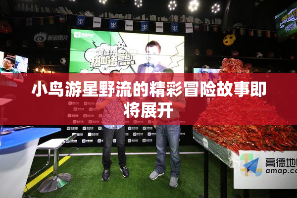 小鸟游星野流的精彩冒险故事即将展开