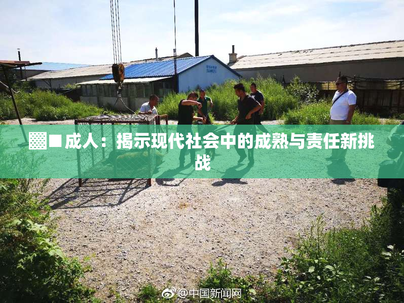 ▓■成人：揭示现代社会中的成熟与责任新挑战