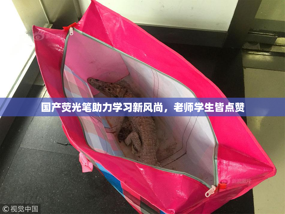 国产荧光笔助力学习新风尚，老师学生皆点赞