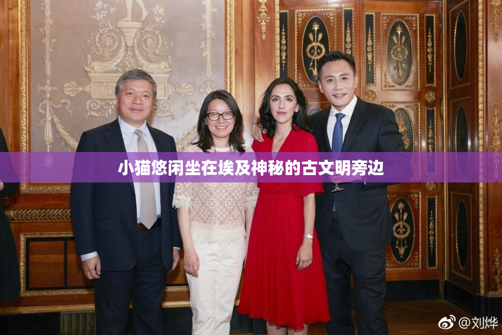 小猫悠闲坐在埃及神秘的古文明旁边