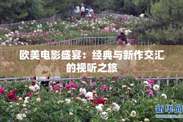 欧美电影盛宴：经典与新作交汇的视听之旅