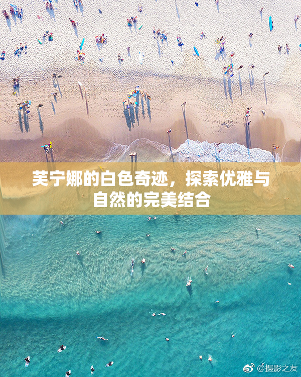 芙宁娜的白色奇迹，探索优雅与自然的完美结合