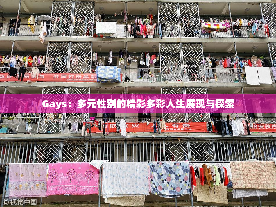 Gays：多元性别的精彩多彩人生展现与探索
