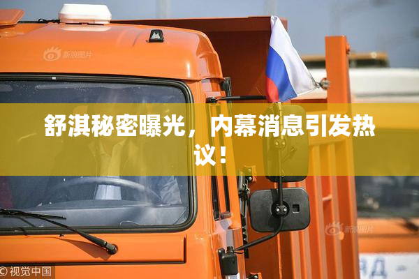 舒淇秘密曝光，内幕消息引发热议！