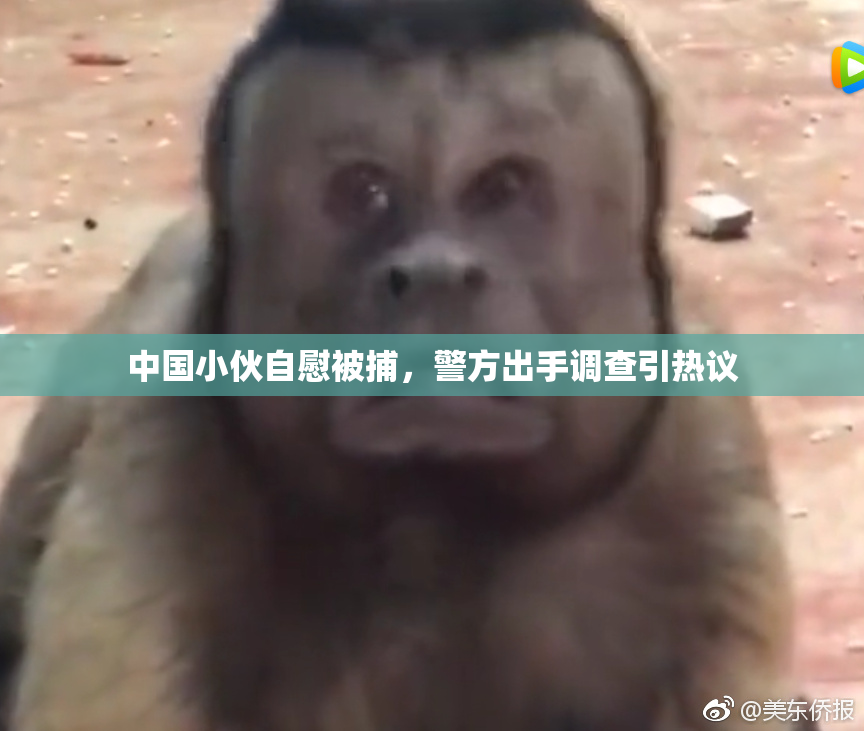 中国小伙自慰被捕，警方出手调查引热议