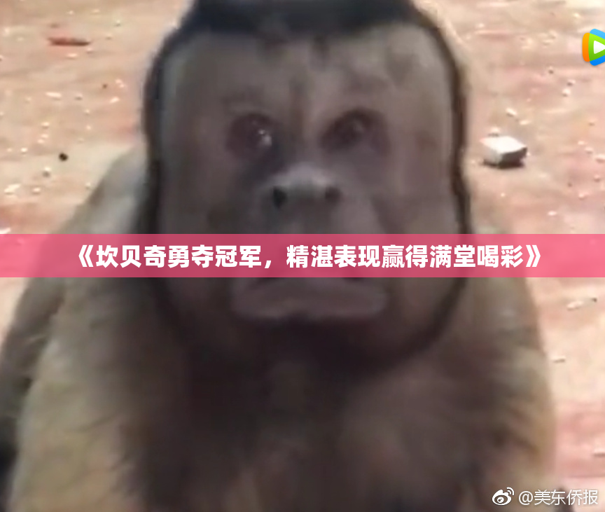 《坎贝奇勇夺冠军，精湛表现赢得满堂喝彩》