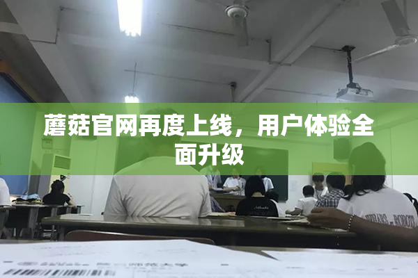 蘑菇官网再度上线，用户体验全面升级