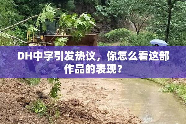 DH中字引发热议，你怎么看这部作品的表现？