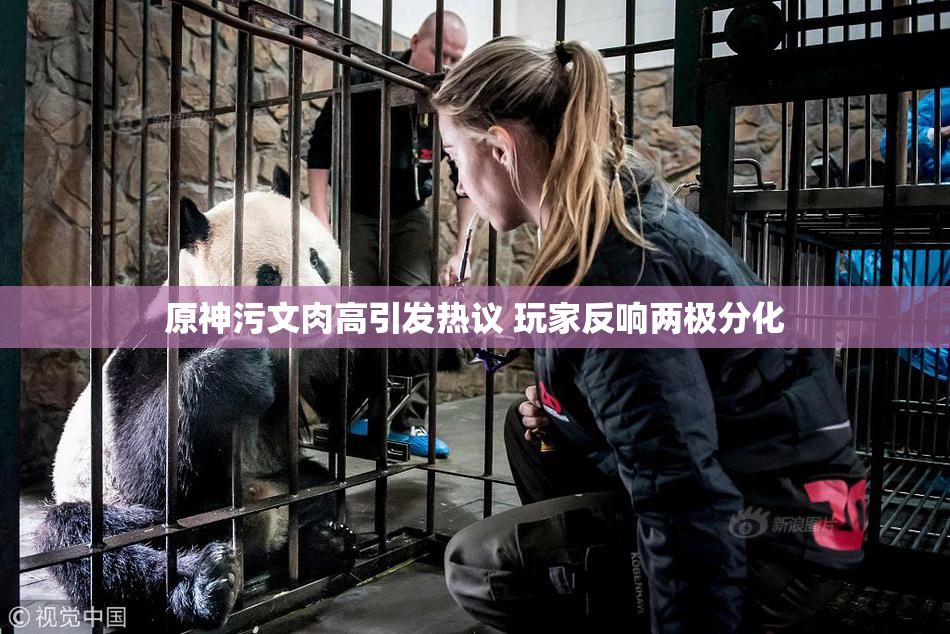 原神污文肉高引发热议 玩家反响两极分化