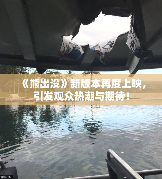 《熊出没》新版本再度上映，引发观众热潮与期待！