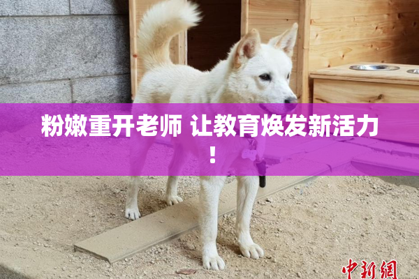 粉嫩重开老师 让教育焕发新活力！
