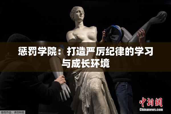 惩罚学院：打造严厉纪律的学习与成长环境