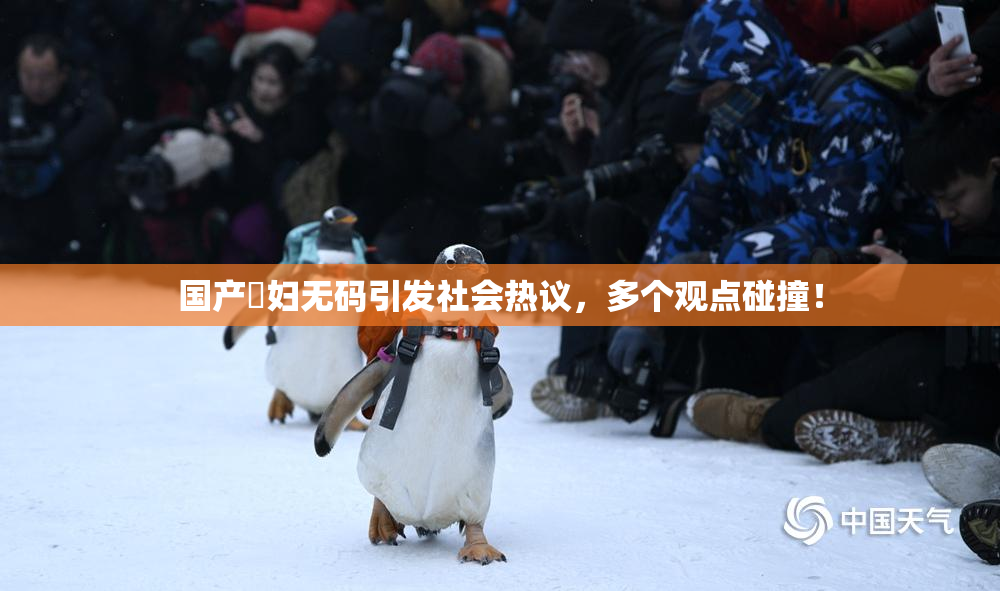 国产婬妇无码引发社会热议，多个观点碰撞！