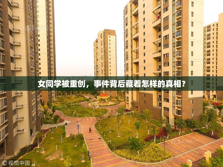 女同学被重创，事件背后藏着怎样的真相？