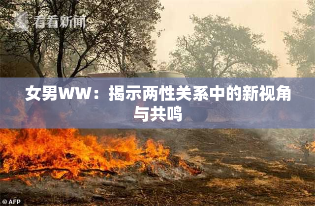 女男WW：揭示两性关系中的新视角与共鸣