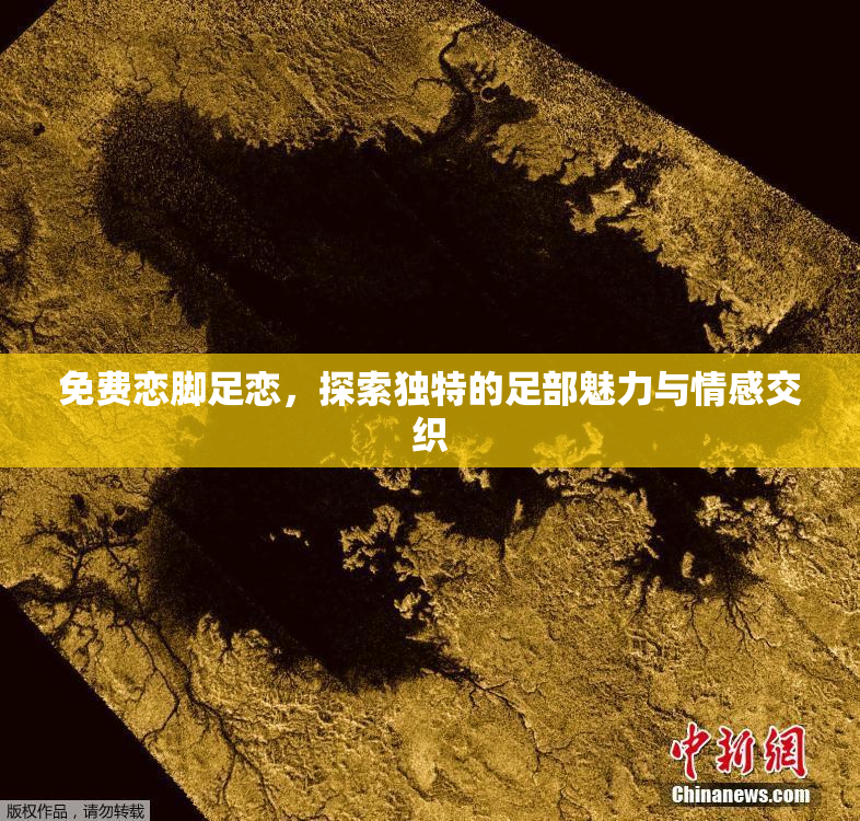 免费恋脚足恋，探索独特的足部魅力与情感交织