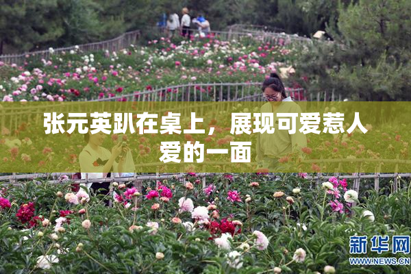张元英趴在桌上，展现可爱惹人爱的一面