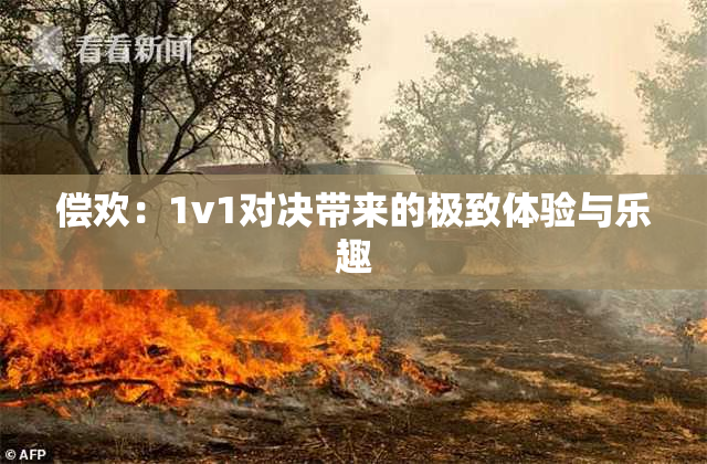 偿欢：1v1对决带来的极致体验与乐趣