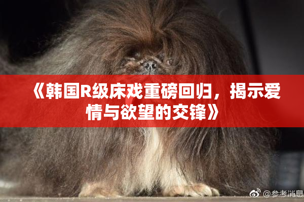 《韩国R级床戏重磅回归，揭示爱情与欲望的交锋》