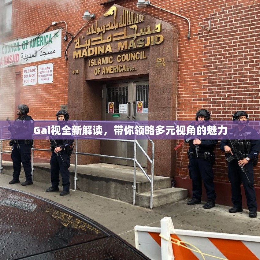 Gai视全新解读，带你领略多元视角的魅力