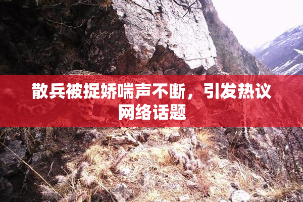 散兵被捉娇喘声不断，引发热议网络话题