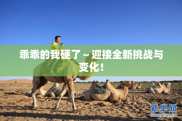 乖乖的我硬了～迎接全新挑战与变化！