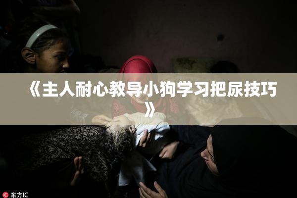 《主人耐心教导小狗学习把尿技巧》