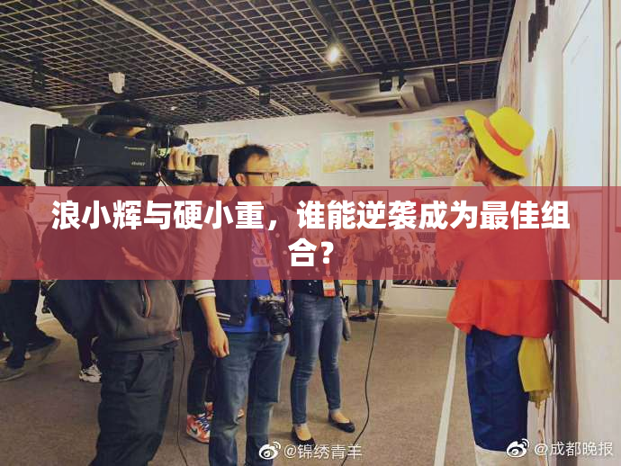 浪小辉与硬小重，谁能逆袭成为最佳组合？