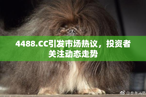 4488.CC引发市场热议，投资者关注动态走势
