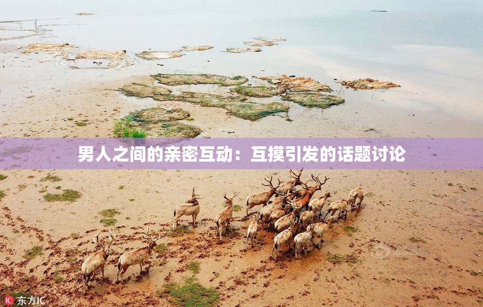 男人之间的亲密互动：互摸引发的话题讨论