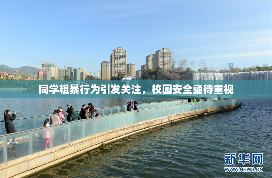 同学粗暴行为引发关注，校园安全亟待重视