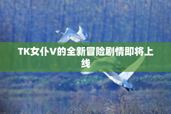 TK女仆V的全新冒险剧情即将上线
