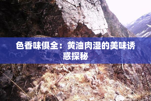色香味俱全：黄油肉湿的美味诱惑探秘