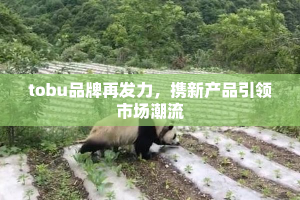 tobu品牌再发力，携新产品引领市场潮流