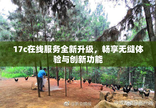 17c在线服务全新升级，畅享无缝体验与创新功能