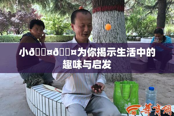 小🐤🐤为你揭示生活中的趣味与启发