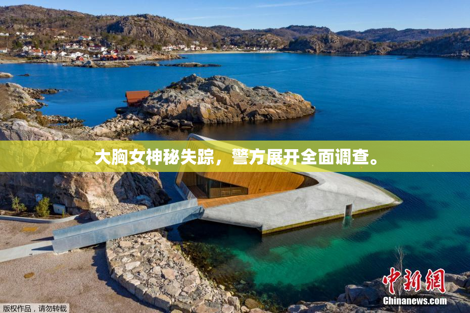 大胸女神秘失踪，警方展开全面调查。